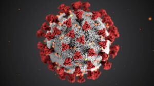 Lee más sobre el artículo Inteligencia colectiva y coronavirus, colaborando en red somos más fuertes